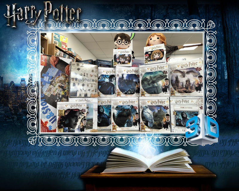 Nouvel Arrivage Harry Potter (Puzzle 3D)