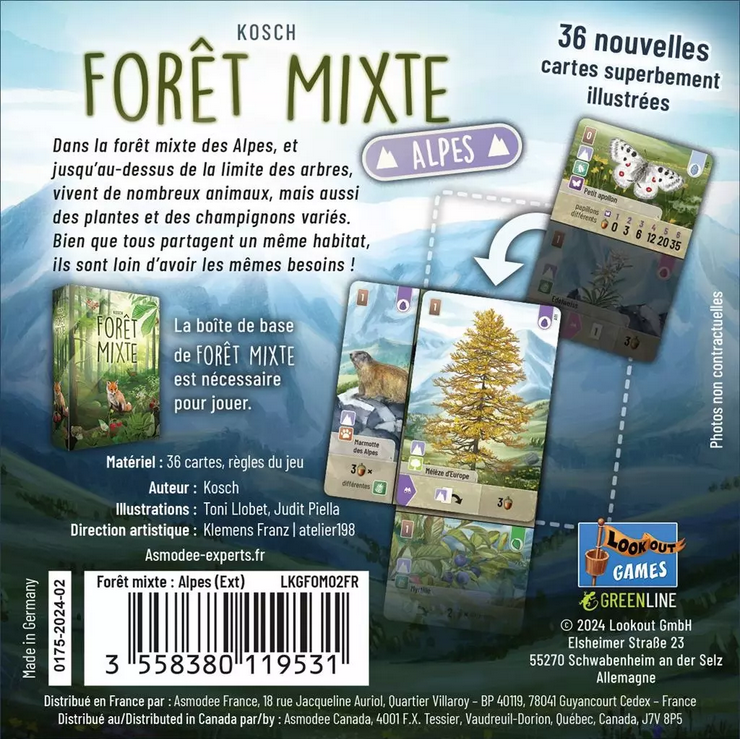 FORET MIXTE EXTENSION ALPES