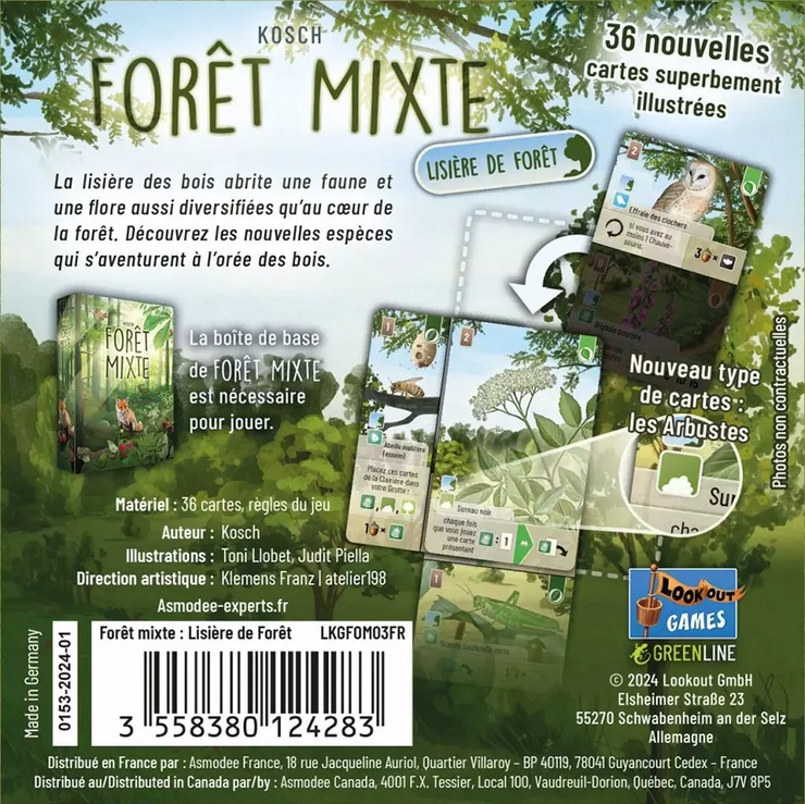 FORET MIXTE EXTENSION LISIERE DE FORET